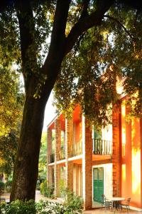 Camping Village Rosselba Le Palme