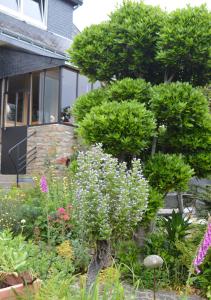 Jardin de Belle Vue photo 18