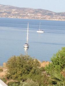 Vila Sofia Naxos Greece