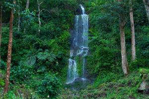 Madhumanthra Resort - Homestay