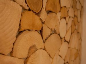 Appartement Almzeit mit Infrarotkabine