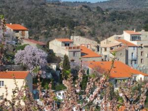 Maisons de vacances Chez Pierre : photos des chambres