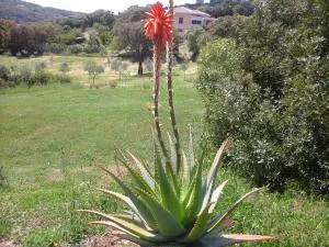 Affittacamere Valverde di Naitana Rita - Cheremule