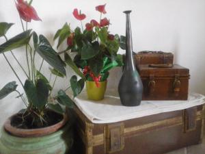 Affittacamere Valverde di Naitana Rita img9