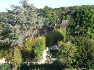 Maisons de vacances L'Ajoussienne : photos des chambres