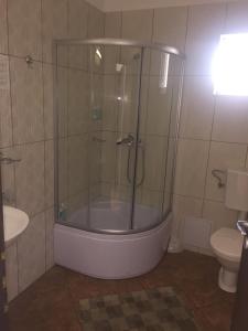 One-Bedroom Apartment (2-4 Guests)  room in Pensiunea Zbor 1