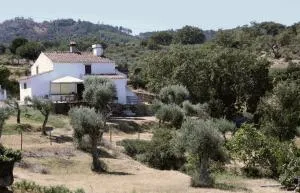 Refugio da Maceira - Barretos