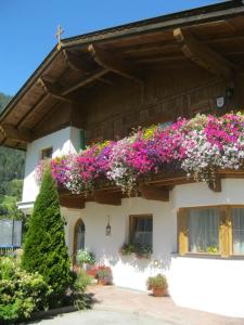 Haus Reiterer