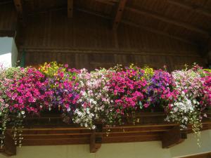 Haus Reiterer
