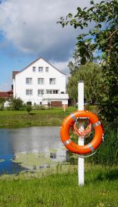 Das Haus am Teich