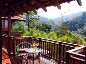 The Shorea