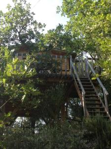 B&B / Chambres d'hotes La cabane des amoureux : photos des chambres