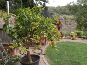 Ferienwohnung Saaleblick