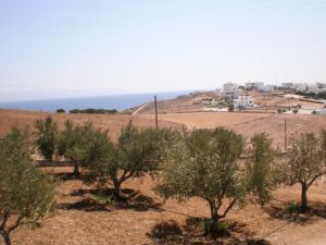 Panorama Paros Greece