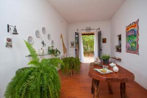 Beija- flor de Lençóis