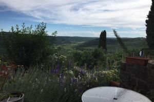 Apartments Padna Goja