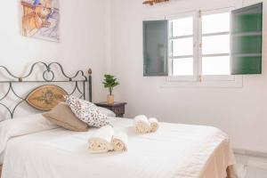 La Casa de Artista, Zona Museo