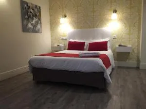 海豚酒店 - 皮托