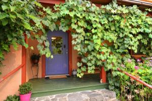 Sunshine Villa B&B