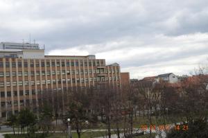 Vacation Apartment up to 10