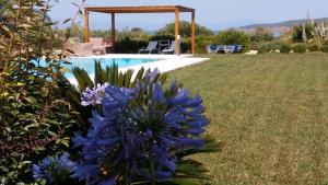 Villa Grace Argolida Greece