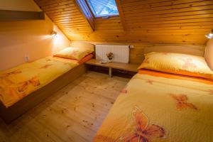 Mária Kičáková TATRY MKS