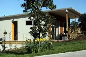 Aviator - Bell Block