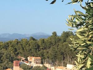 Harry's Studios 1 Paxoi Greece
