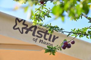 Astir Of Naxos Naxos Greece