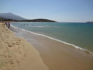 Near the beach Andros Greece