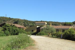 Cavalli di S'Arcaite img37