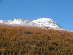 Chalets Chalet Bon Accueil : photos des chambres