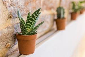 Cà Biennale, respirare la Venezia autentica!