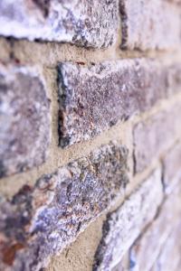 Cà Biennale, respirare la Venezia autentica!