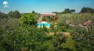 Manfio's - 鲁法诺