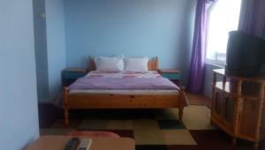 Вила Синя Иглика