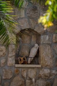 Gorgeous apartment Dora