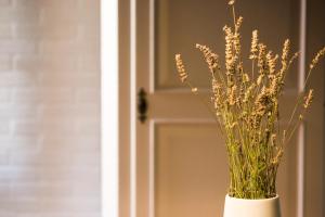 Cà Tugnin Dill Cich