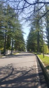 Apartment on Kolkheti Street 1