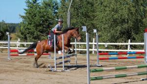 Ilola Maatilamatkailu