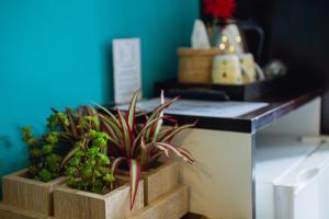 Anchor Boutique House