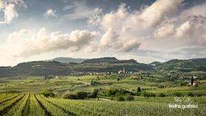 Accommodation in Marano di Valpolicella