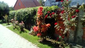 Apartman Peric