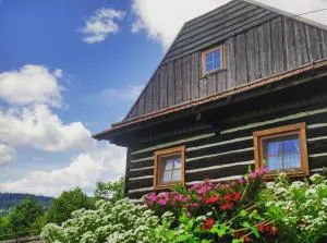 Chalupa u Žofky - 奥什恰德尼察