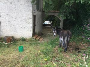 Sejours chez l'habitant Lou ribas : photos des chambres