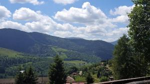 Maisons de vacances Gite de Papy TOUALY : photos des chambres