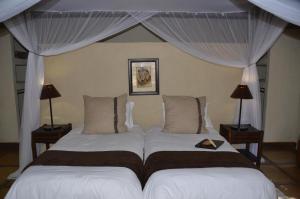 Moholoholo Forest Camp