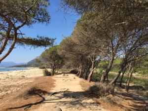 Appartamento in Villa Andreina img58