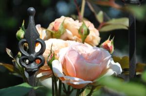 Ferienwohnung im Rosengarten