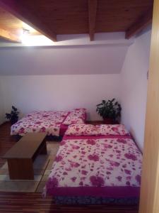 Apartman Hrasno